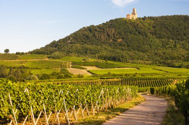 Castle Ortenbourg, Alsace