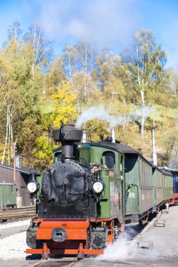 buhar tren, steinbach - johstadt, Almanya