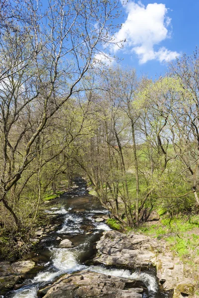 Voorjaar landschap met Vyrovka brook — Stockfoto