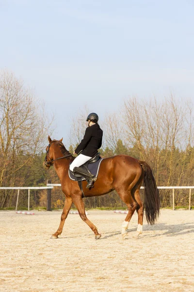 Equestrian on horseback — Stock Photo, Image