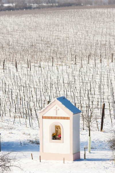 Tortura de Deus perto de Hnanice com vinha de inverno — Fotografia de Stock