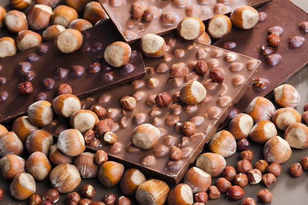 하젤 넛이 들어 있는 초콜릿바 — 스톡 사진