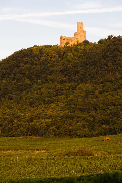 Schloss Ortenbourg, Elsass, Frankreich — Stockfoto