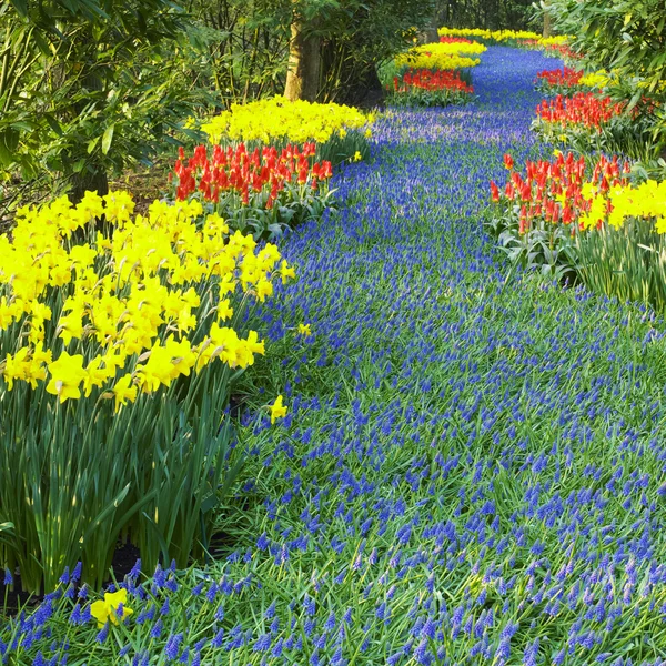 Keukenhof Gardens, Lisse, Netherlands — Stock Photo, Image