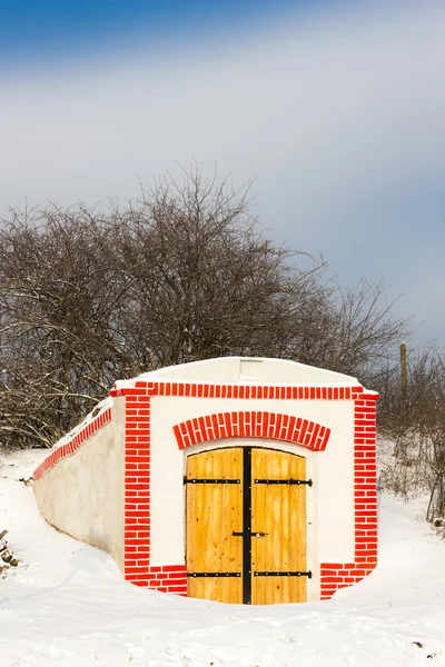 Vinkällare, Hnanice — Stockfoto