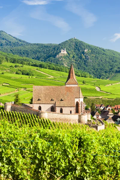 Hunawihr, alsace, Fransa — Stok fotoğraf