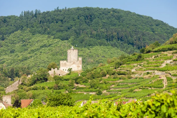 Castle Kaysersberg with vineyard — Stock Photo, Image