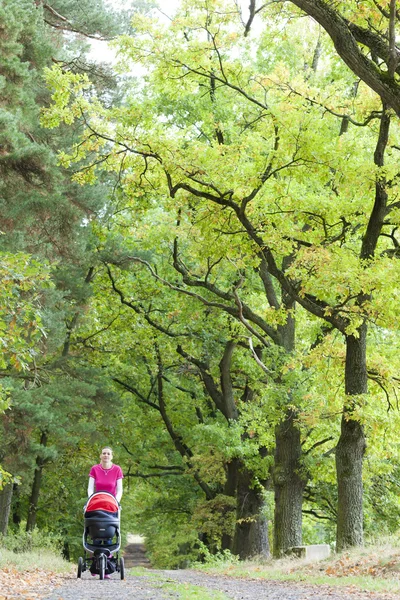 Woman with a pram on walk in autumnal alley — Stock Photo, Image