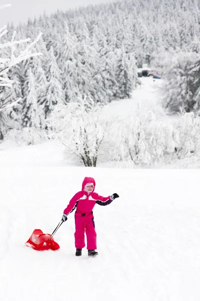 滑雪橇的小女孩 — 图库照片