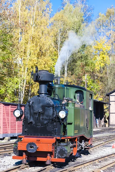 Ånga lokomotiv, Jöhstadt, Tyskland — Stockfoto