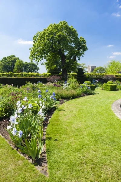 Tuin van hatfield house, hertfordshire, Engeland — Stockfoto