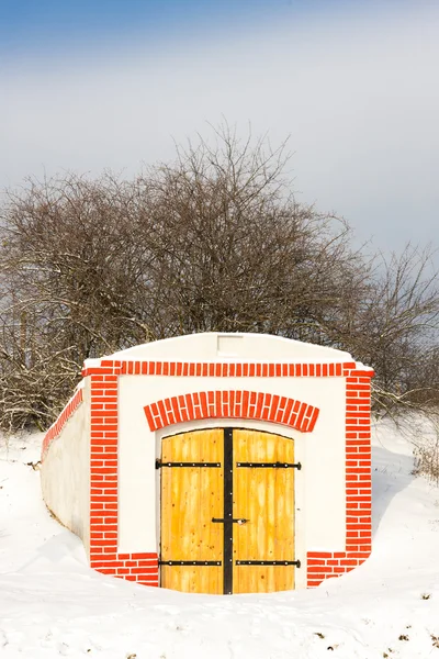 Wine cellar, Hnanice, Czech Republic — Stock Photo, Image