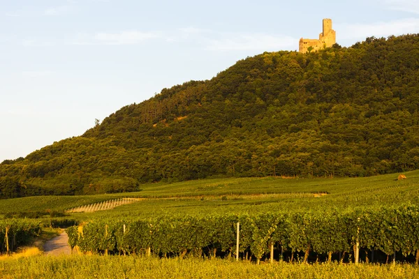 Castle ortenbourg, alsace, Franciaország — Stock Fotó