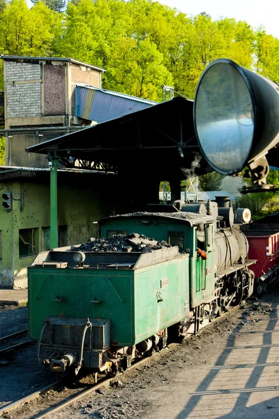 Steam locomotive, delivery point in Oskova, Bosnia and Hercegovi — Stock Photo, Image