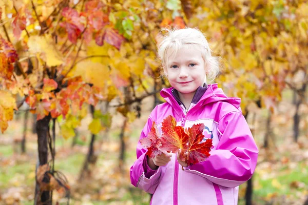 Little girl in autumnal vineyard — Stock Photo, Image