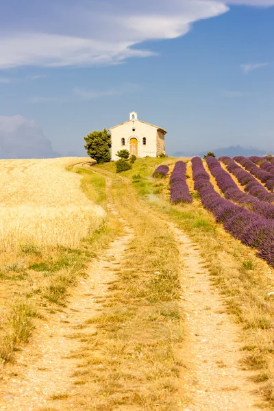 Kapelle mit Lavendel- und Getreidefeldern — Stockfoto