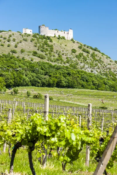 Ruines du château de Devicky avec vignobles — Photo