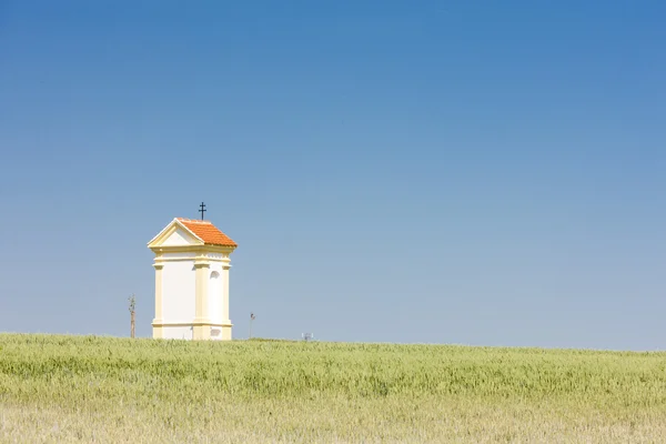 God's torture with grain, Southern Moravia — Stock Photo, Image