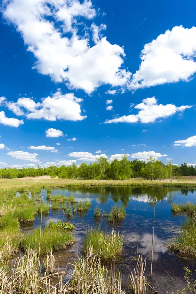 Nature reserve called Soos — Stock Photo, Image