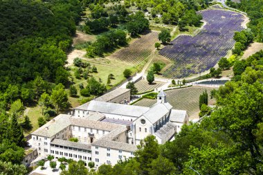 Senanque Manastırı, Provence