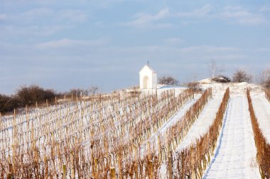 Hnanice, Güney Moravia yakınındaki kış bağ
