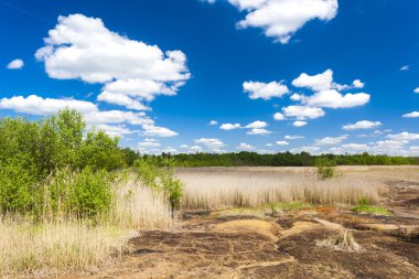 soos denilen doğa rezerv