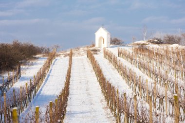 Hnanice, Güney Moravia yakınındaki kış bağ