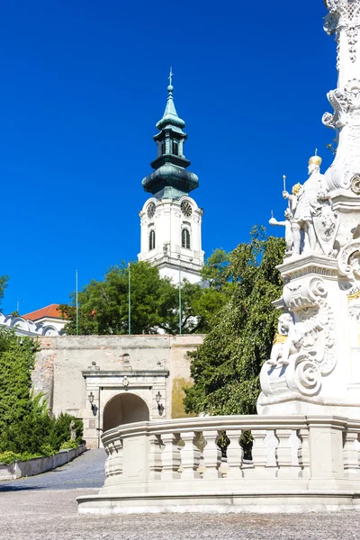 De pest kolom en het kasteel in Nitra — Stockfoto
