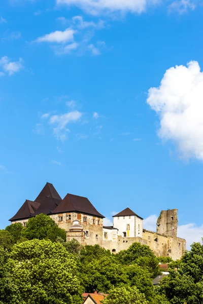 Замок Токник, Чехия — стоковое фото