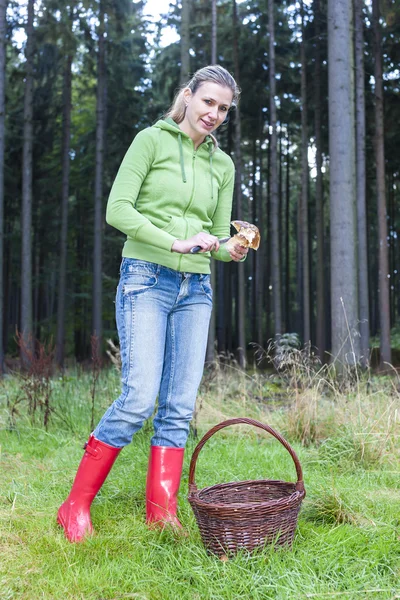 Mushroom picking woman — Stock Photo, Image