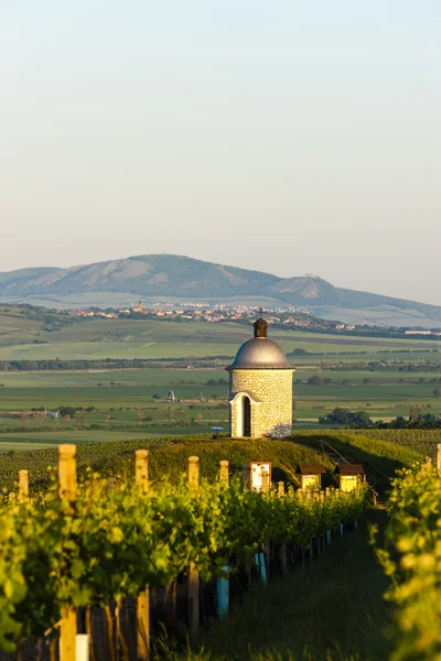 Cappella con vigneto vicino Velke Bilovice — Foto Stock