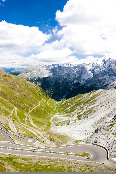 Straße am stelvio pass, alto adige, italien — Stockfoto