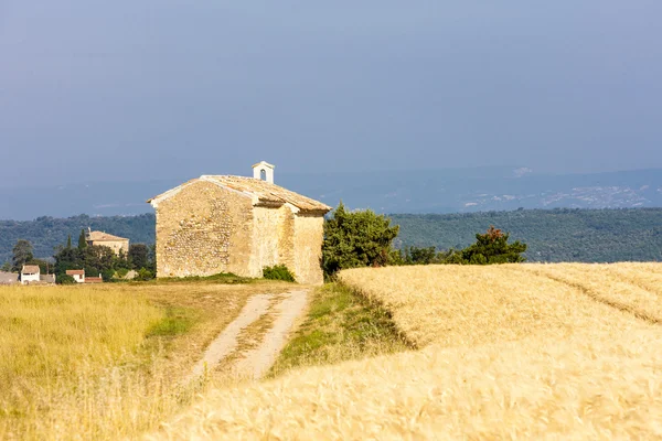 Cappella con campo di grano, Plateau de Valensole — Foto Stock