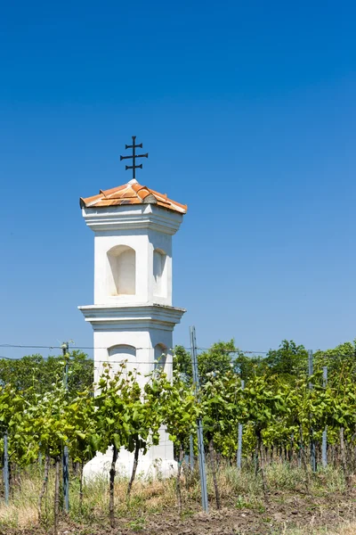 God's torture with vineyard, Palava — Stock Photo, Image