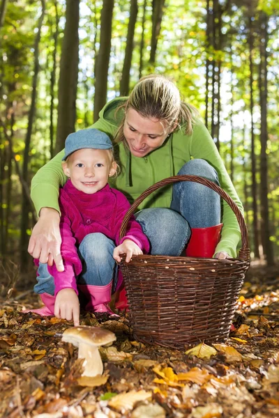 Madre con sua figlia raccogliendo funghi — Foto Stock