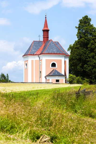 Kyrkan av Saint Ann, Pusta Kamenice — Stockfoto