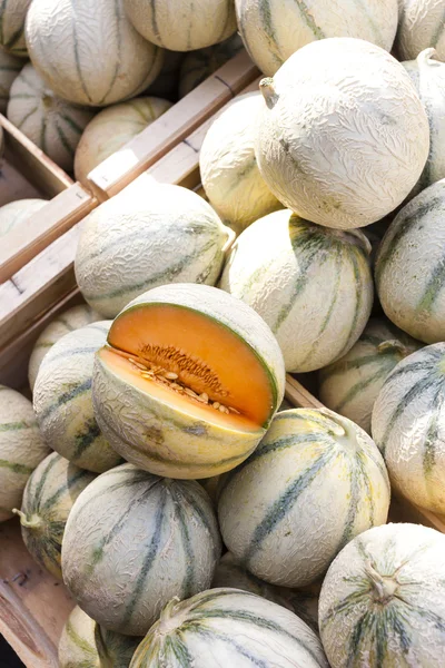 Melons cantaloupe, market in Nyons — Stock Photo, Image