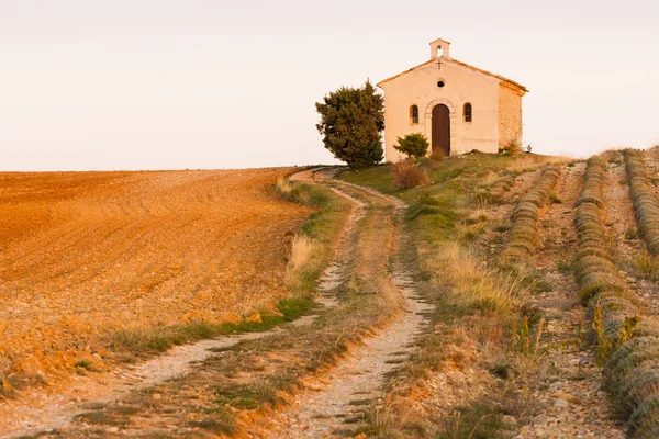 Capilla con campo de lavanda, Meseta de Valensole —  Fotos de Stock