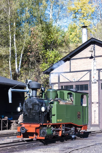 Locomotiva a vapore, Johstadt — Foto Stock