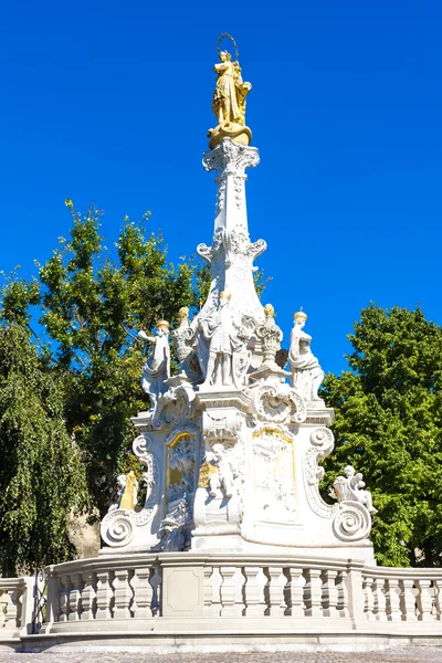 The plague column in Nitra — Stock Photo, Image