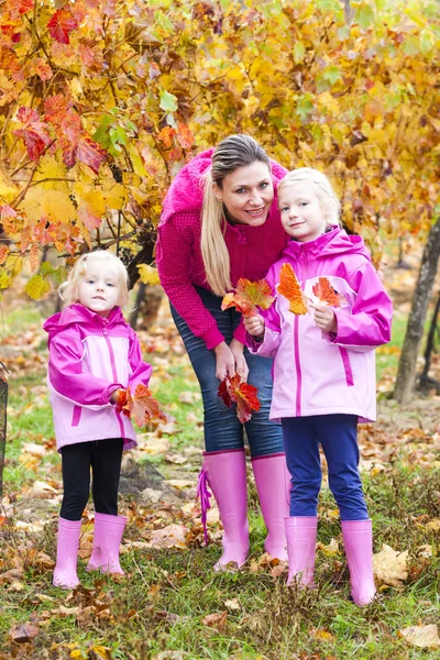 Matka a její dcery v podzimní vinice — Stock fotografie