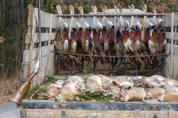 Excluidos los animales capturados — Foto de Stock