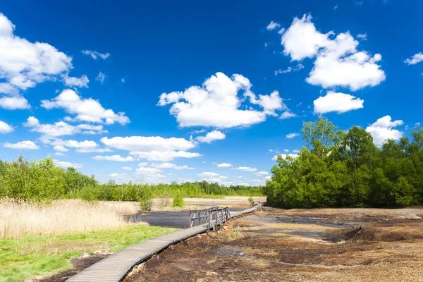 Nature reserve called Soos — Stock Photo, Image