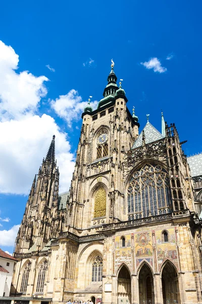 Kathedrale von St. Vitus, Wenzel und Vojtech — Stockfoto