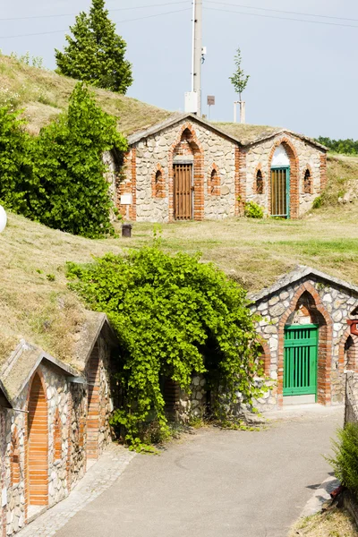 Caves de vinho, Vrbice — Fotografia de Stock