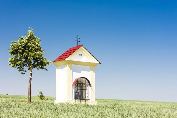 Mučení Boží s obilím, Jižní Morava — Stock fotografie