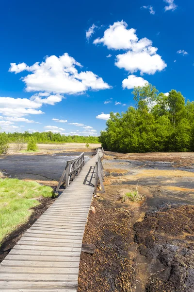 Nature reserve called Soos — Stock Photo, Image