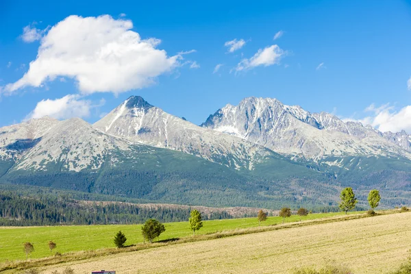 Krivan berg och västra delen av bergskedjan Höga Tatra — Stockfoto