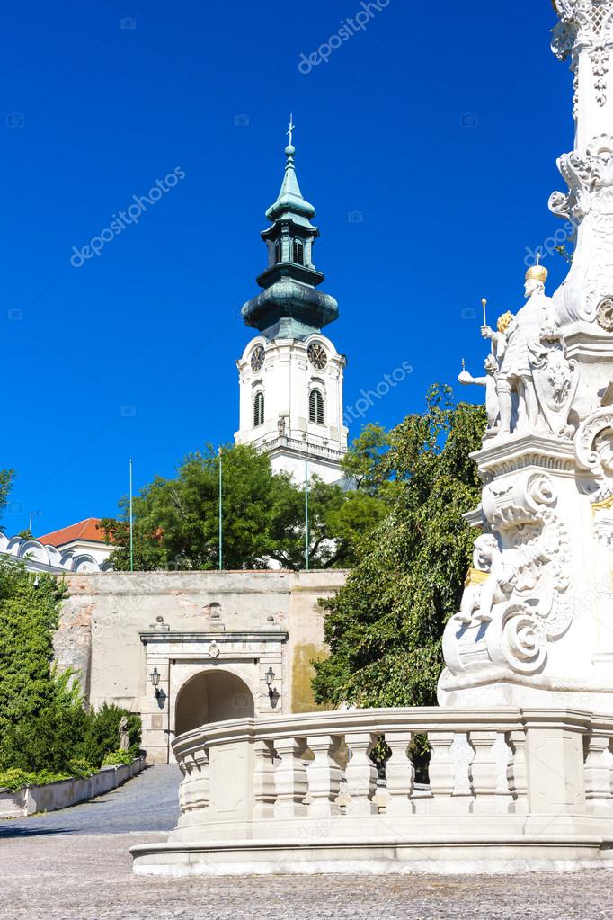 The plague column and castle in Nitra