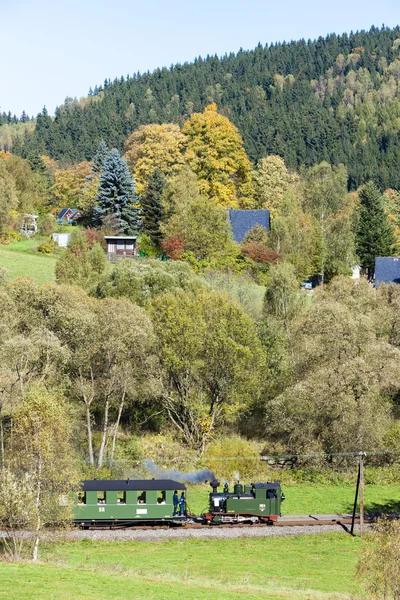 Treno a vapore, Steinbach - Johstadt — Foto Stock